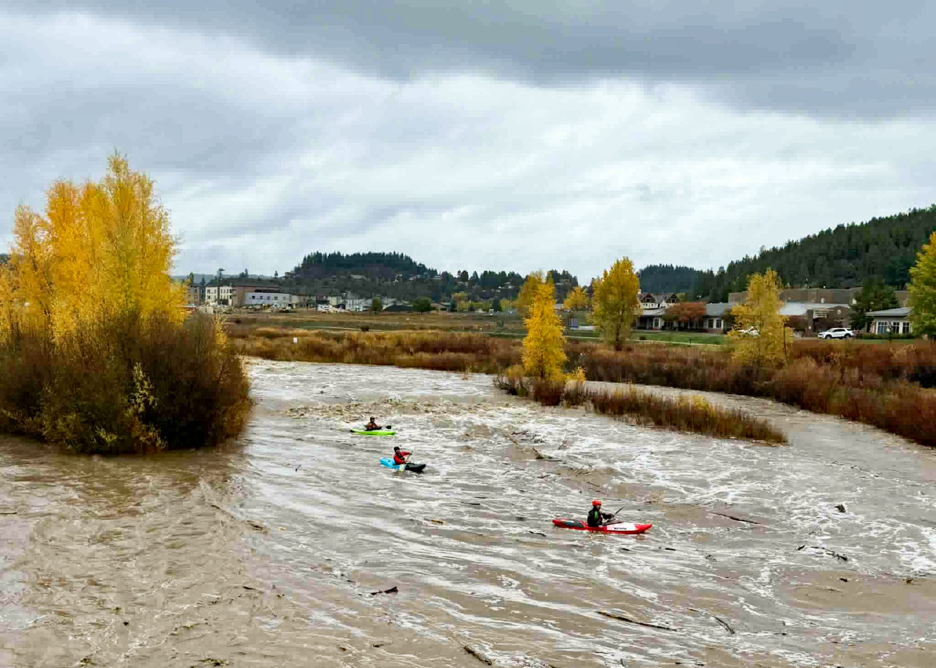 Kayakers on river