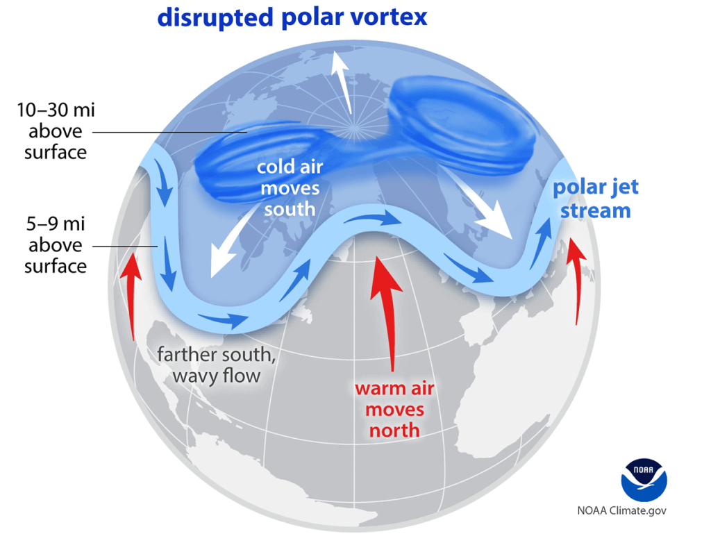 Pagosa Weather's Winter Outlook 2025/2026 14 weak collapsed polar vortex sudden stratospheric warming winter weather forecast pattern snowfall cold united states