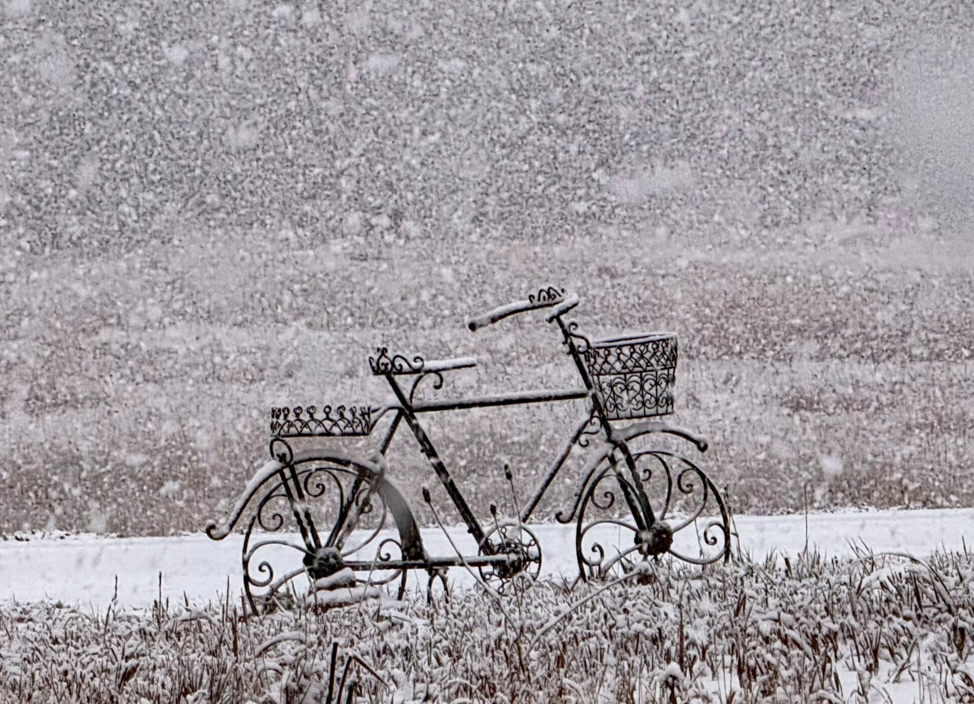 Bike in snow