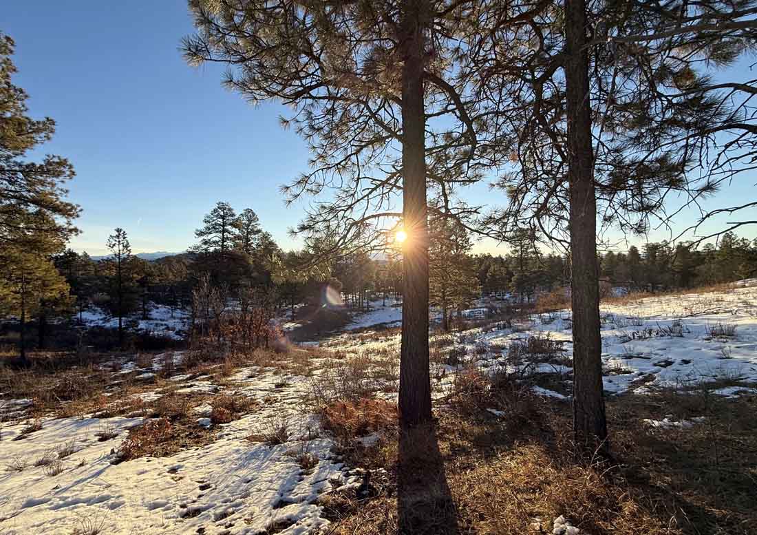 Warm temps are melting snow in the Pagosa area but there’s still plenty to play in the in the mountains – Pic taken by Arleen on 12/12/2025