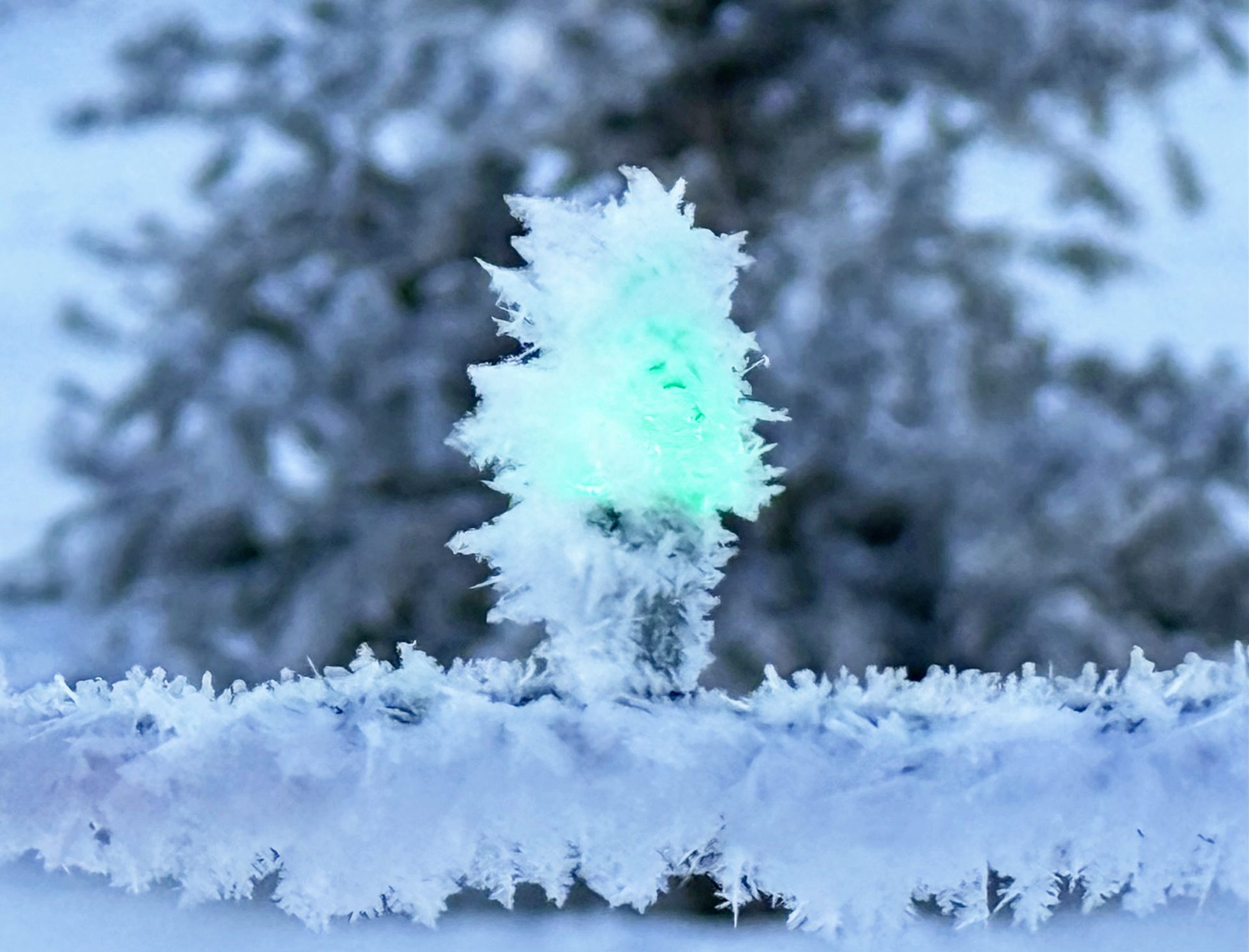 Light bulb with heavy frost