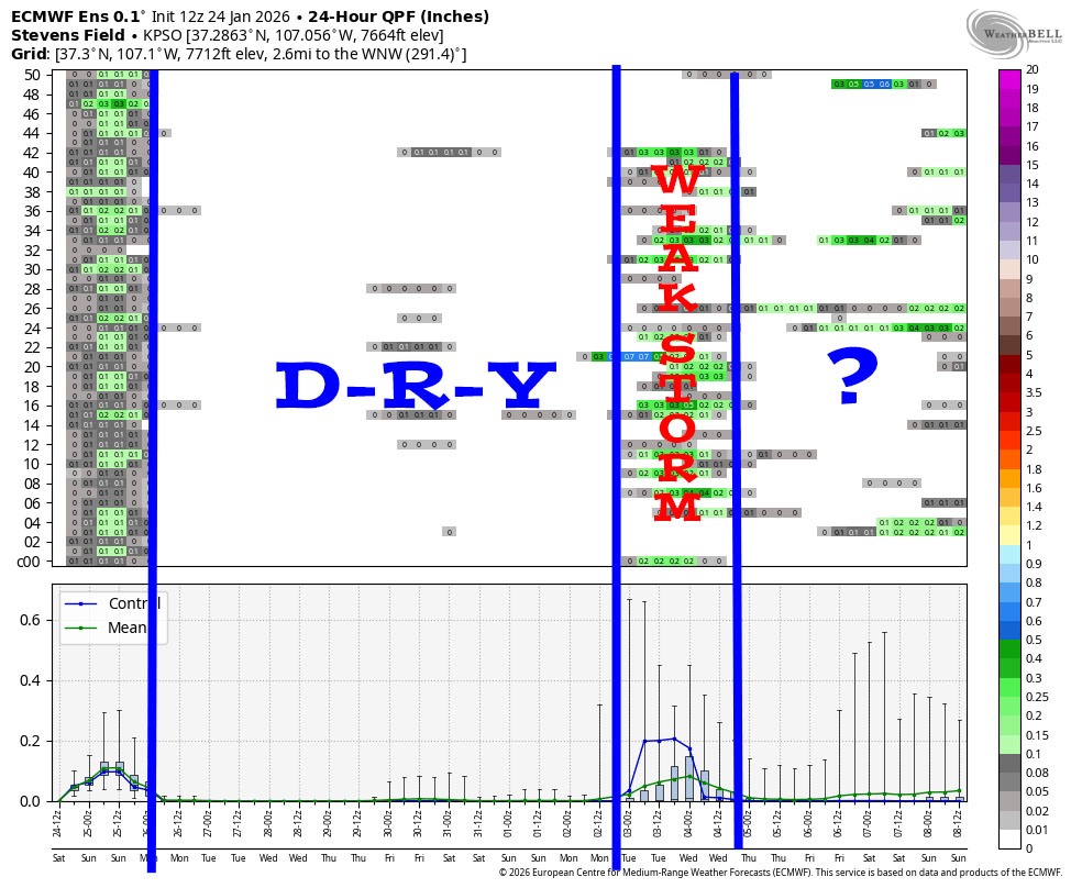 Mountain snowshowers into Saturday evening… 6 Euro ensemble 15-day 24-hour precip amounts – This shows 24-hour precip amounts for 50 versions of the Euro forecast model. It’s read left to right, and times are in Zulu. It begins with the outgoing storm and then it’s dry to 2 Feb. It hints at a weak storm around 3 Feb and then it’s a mystery towards the end of the period. Other forecast products lean more towards ridging and dry weather than the opposite.