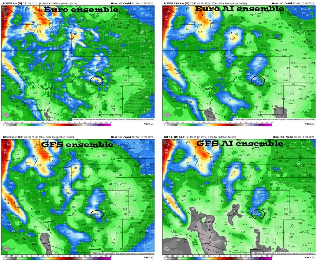 Ensemble precip totals for the next 15 days – In the upper left, Euro ensemble shows 0.89”. In the upper right, Euro AI ensemble shows 0.74”. In the bottom left, GFS ensemble shows 1.00”. In the bottom right, GFS AI ensemble shows 0.62”. Precip amounts are slowly trending up.