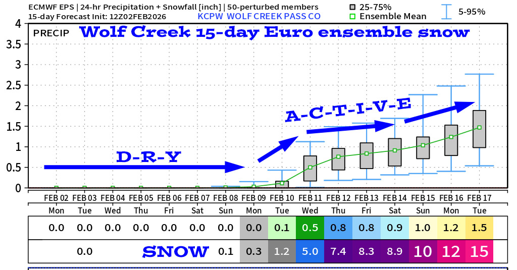 Euro ensemble 15-day snowfall for Wolf Creek shows 15”. It’s dry until around 10 Feb, and then the pattern will get more active.