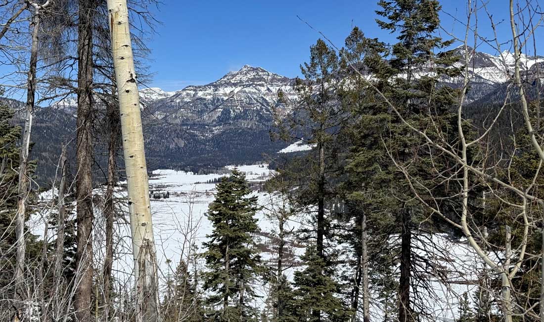 Great view during a snowshoe adventure! – Pic taken 2/26/2026 by Arleen