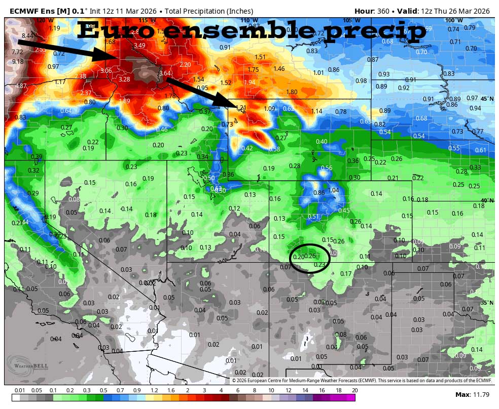 Concerned about fire danger this weekend… 3 Euro ensemble precip to 26 Mar shows 0.26” in the Pagosa area. The storm track will be to our north and we’ll be dry most of this period.
