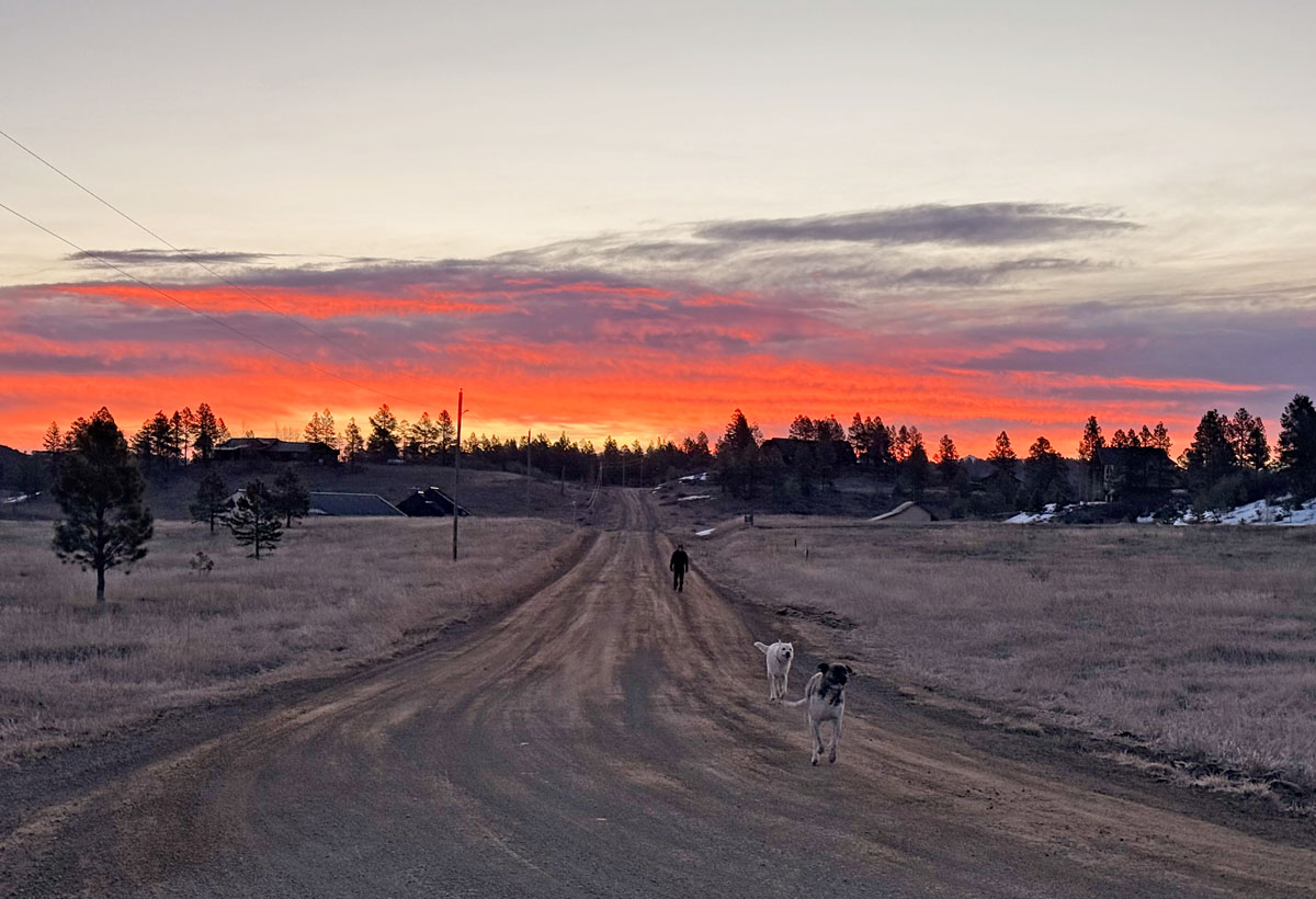 Love these sunrise pup walks!  – pic taken 3/10/2026