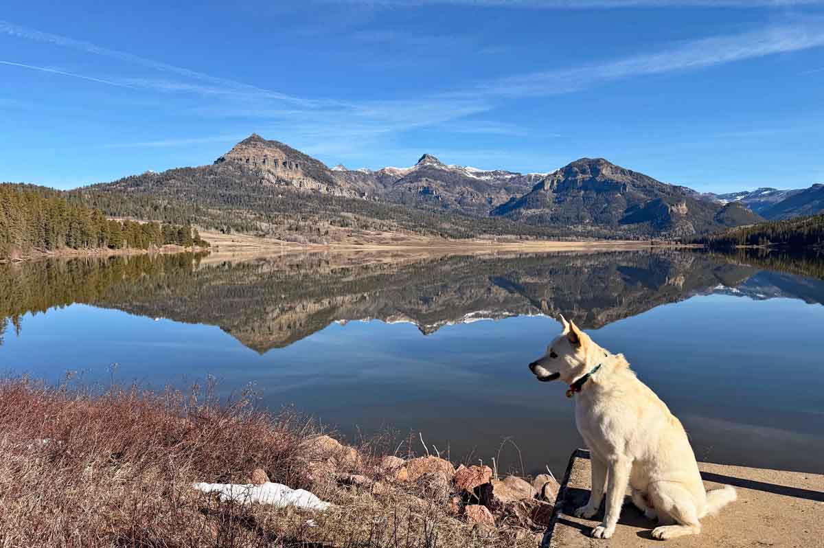 Tommy enjoyed his morning at the lake!  – pic taken 3/12/2026