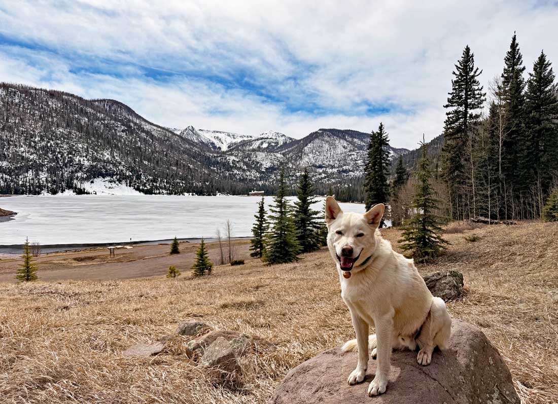 Tommy had a fun day hiking to Big Meadows and Shaw Reservoirs  – pic on 3/23/2026