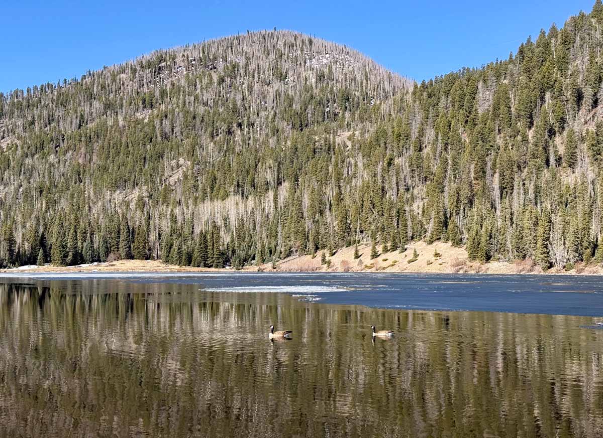 A pair of geese kept me company at the lake – pic was taken 3/27/2026