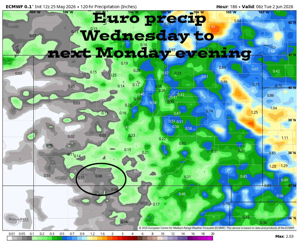 Euro precip Wednesday to late next Monday evening shows 0.06”. This is from a few spotty afternoon showers Sunday and next Monday.