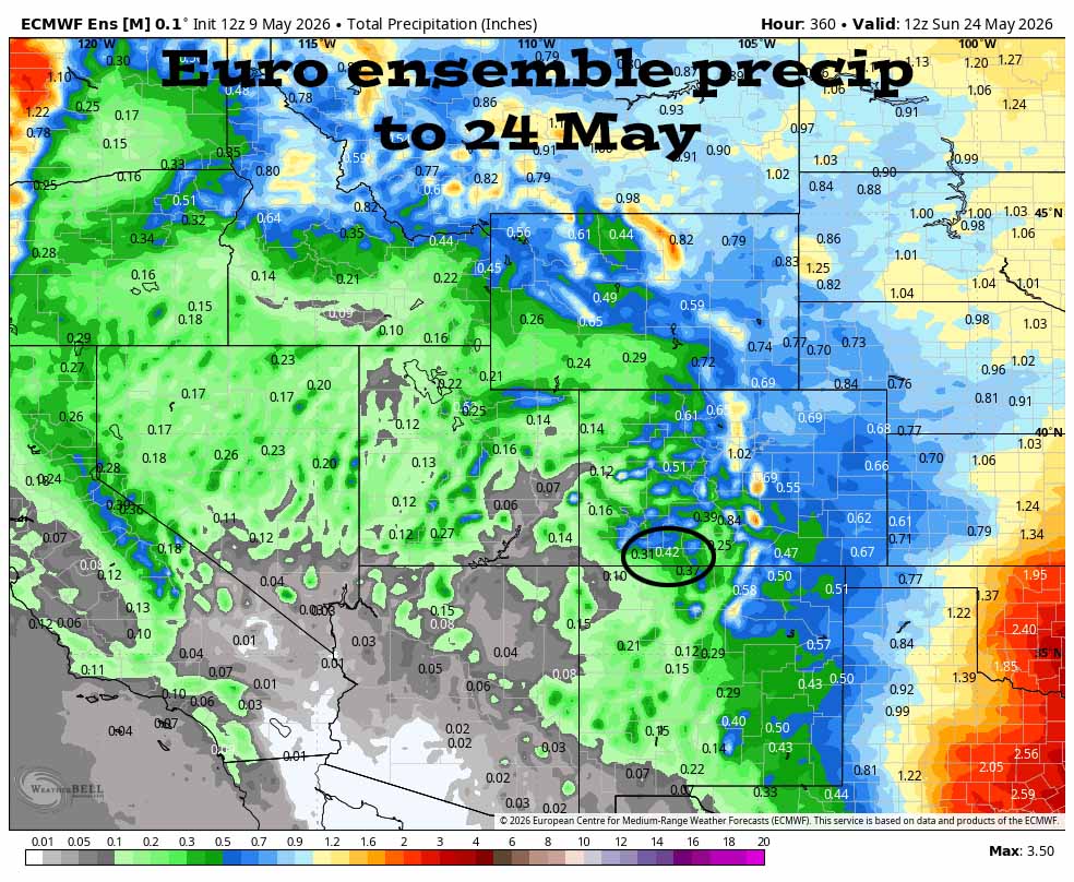 Great spring weather for a while… 4 Euro ensemble precip to 24 May shows 0.42” in the Pagosa area. Precip amounts have stayed steady.