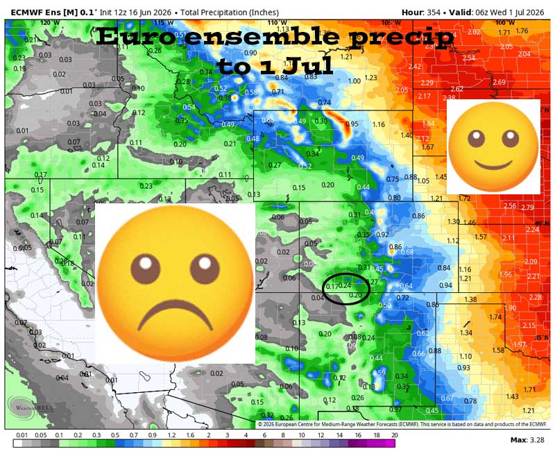 Dry, warm, and breezy for the next 10-14 days… 5 Euro ensemble precip to 1 Jul shows 0.24 ” in the Pagosa area. Precip amounts have trended down.