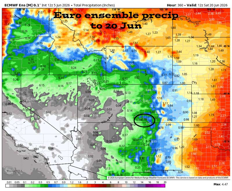 Increased fire danger next week… 5 Euro ensemble precip to 20 Jun shows 0.38 ” in the Pagosa area. Precip amounts have trended down.