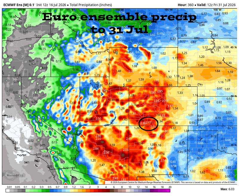 Active today and tomorrow – a lull this weekend – more active next week… 6 Euro ensemble precip to 31 Jul shows 2.17” in the Pagosa area. Forecast precip amounts have been fairly consistent over the last two days.
