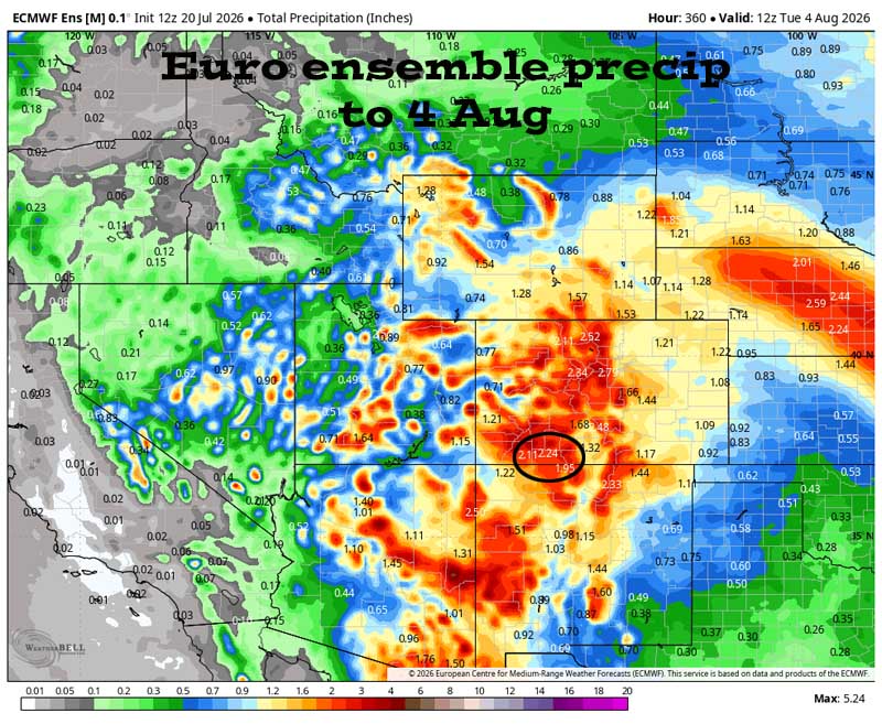 We’re going to get wet… 6 Euro ensemble precip to 4 Aug shows 2.24” in the Pagosa area. Forecast precip amounts have trended up slightly over the last two days.