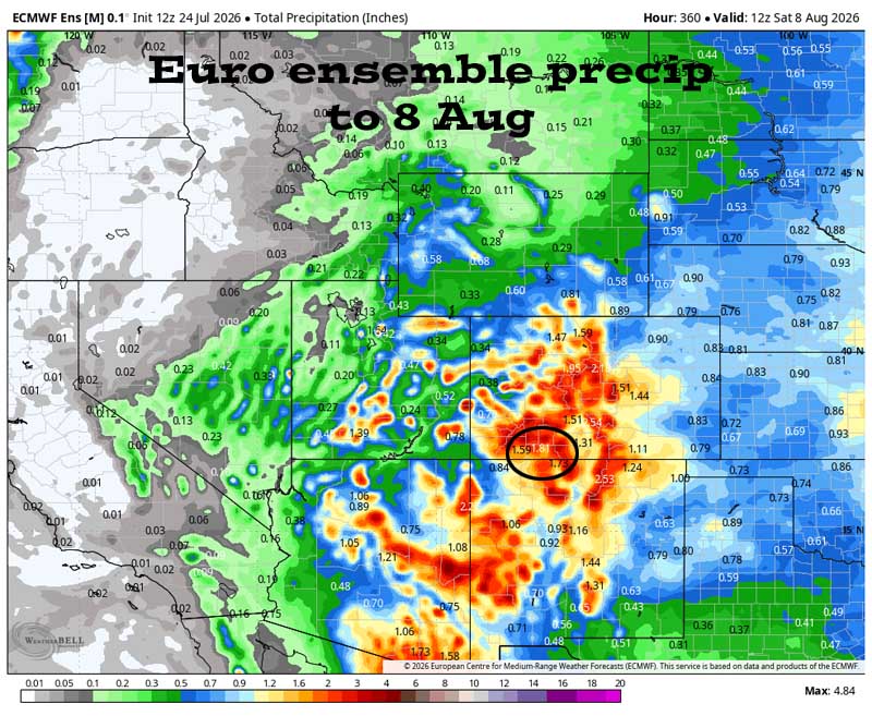 Monsoon action for a while… 6 Euro ensemble precip to 8 Aug shows 1.81” in the Pagosa area. Forecast precip amounts have bounced around a little over the last two days.