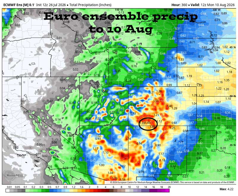 Rain dances are working!… 7 Euro ensemble precip to 10 Aug shows 1.45” in the Pagosa area. Forecast precip amounts have trended down over the last two days.