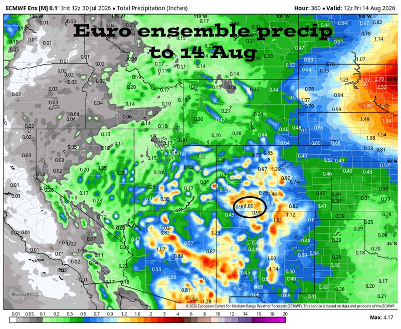 Mostly dry and warm through Monday… 5 Euro ensemble precip to 14 Aug shows 1.00” in the Pagosa area. Forecast precip amounts have trended down over the last two days.