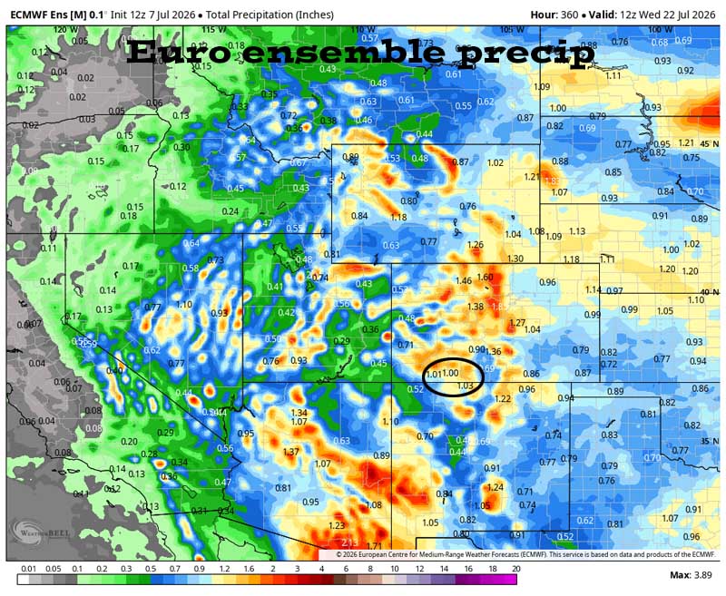 Scattered storms today and tomorrow – mostly dry Thursday through Sunday… 5 Euro ensemble precip to 22 Jul shows 1.00 ” in the Pagosa area. Precip amounts have bounced around over the last two days.