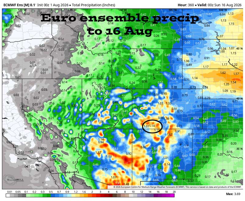 A little more active the second half of the week… 4 Euro ensemble precip to 16 Aug shows 1.14” in the Pagosa area. Forecast precip amounts have bounced around over the last two days.