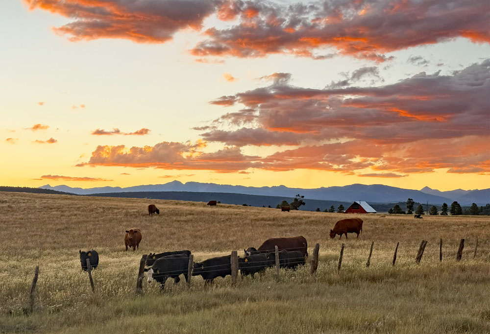 Another glorious Pagosa Country sunset! – pic taken 7/30/2026
