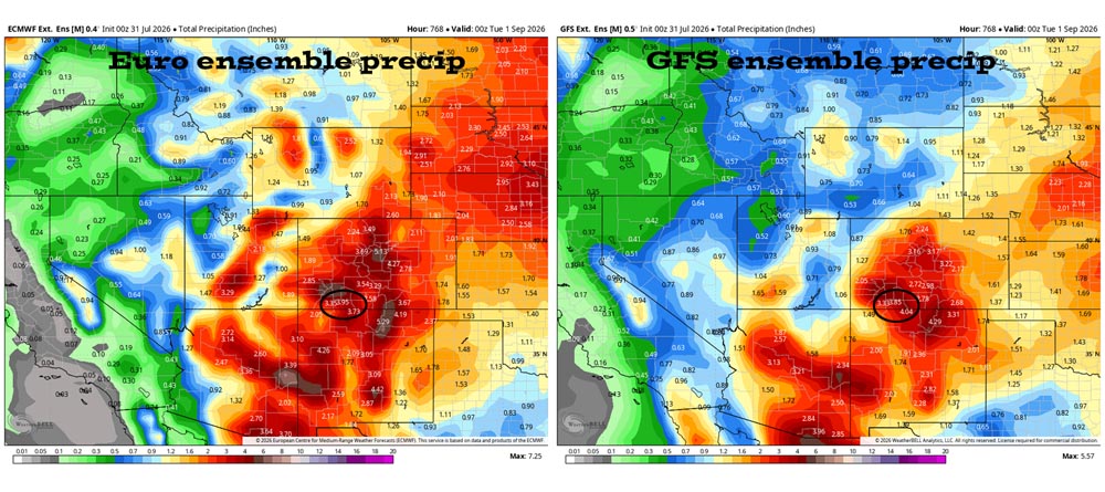 Euro ensemble precip on the left expects 3.95″ for August and the GFS ensemble precip on the right expects 3.85″. Both models expect more than the average of 2.69″.
July verification: The Euro expected 2.99″ and the GFS expected 3.26″. We got 1.81″ so both models over-forecast precip.