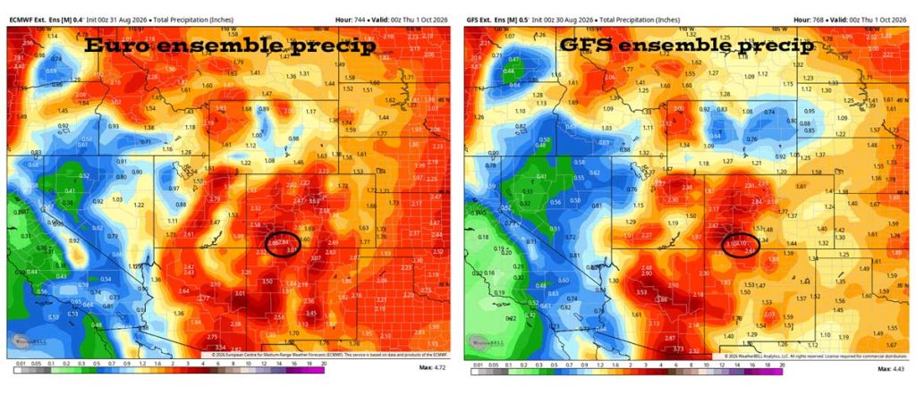 Euro ensemble precip on the left expects 2.84″ for September and the GFS ensemble precip on the right expects 3.10″. Both models expect more than the average of 2.00″.
August verification: The Euro expected 3.95″ and the GFS expected 3.85″. We got 0.99″ so both models over-forecast precip.