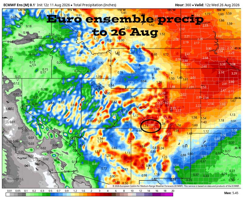 Euro ensemble precip to 26 Aug shows 2.09” in the Pagosa area. Forecast precip amounts have down a little over the last two days. Much of Colorado should get a soaking over the next two weeks.