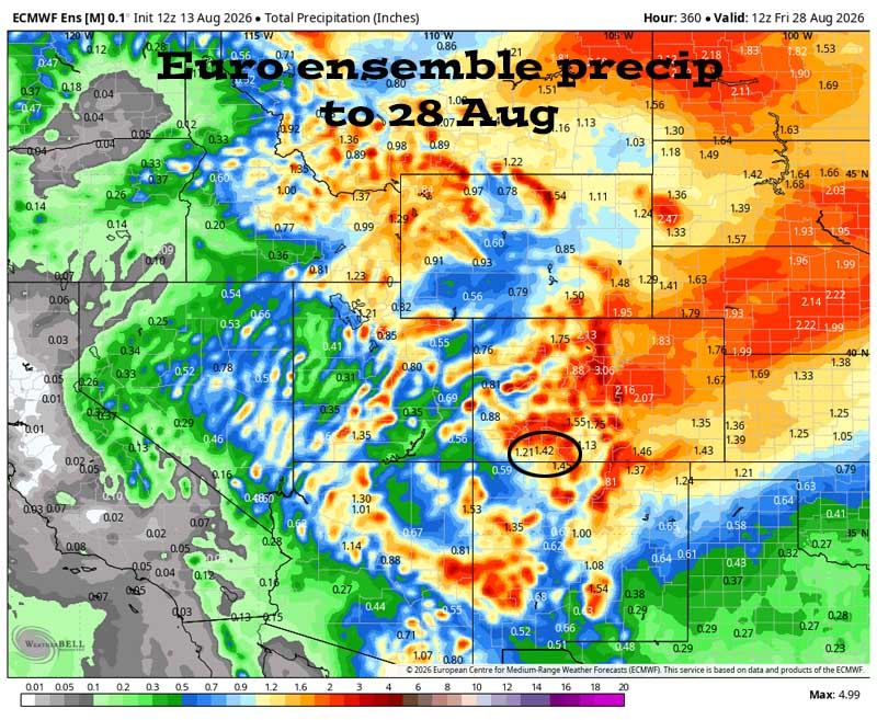 Disappointing for most of us… 6 Euro ensemble precip to 28 Aug shows 1.42” in the Pagosa area. Forecast precip amounts have trended down over the last two days.