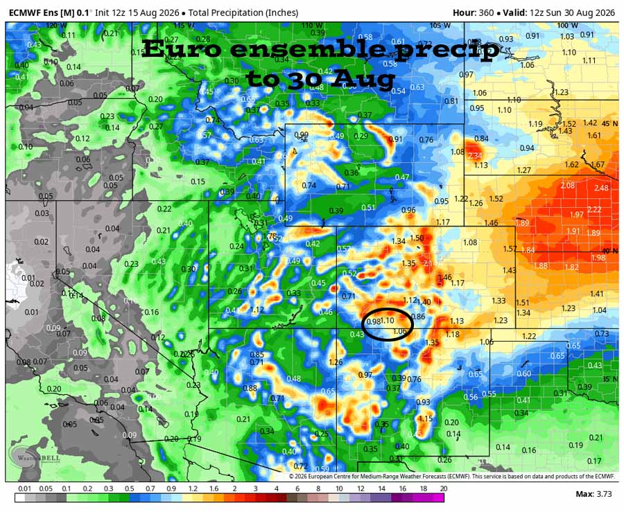 Euro ensemble precip to 30 Aug shows 1.10” in the Pagosa area. Forecast precip amounts have bounced around over the last two days.
