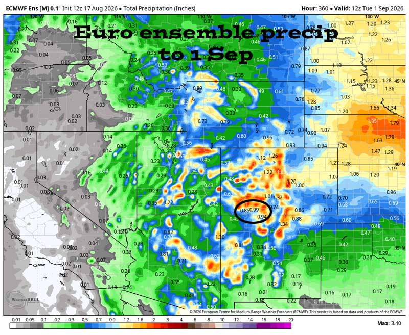 Hit and miss showers starting Wednesday – low precip amounts 4 Euro ensemble precip to 1 Sep shows 0.99” in the Pagosa area. Forecast precip amounts have pretty steady over the last two days.