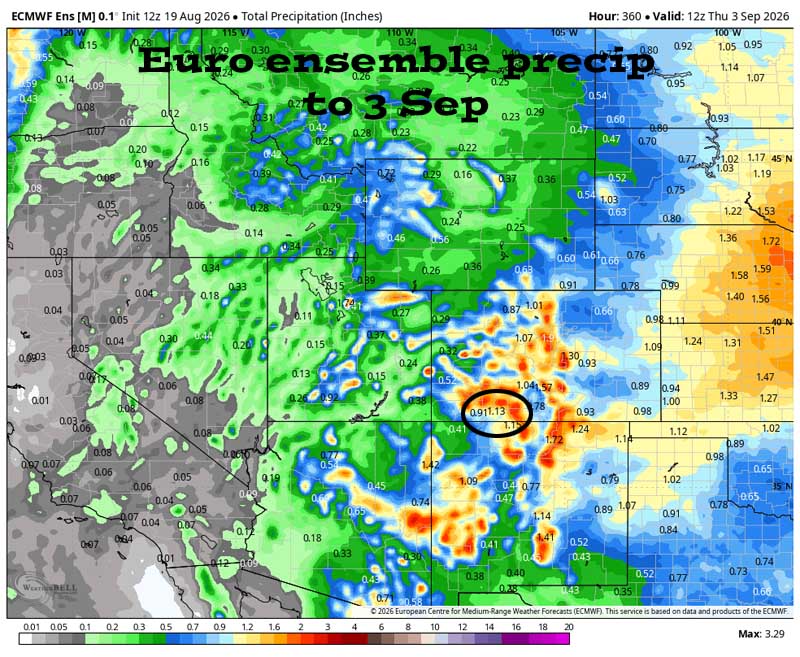 Scattered storms each afternoon and evening through the weekend… 4 Euro ensemble precip to 3 Sep shows 1.13” in the Pagosa area. Forecast precip amounts have trended up slightly over the last two days.