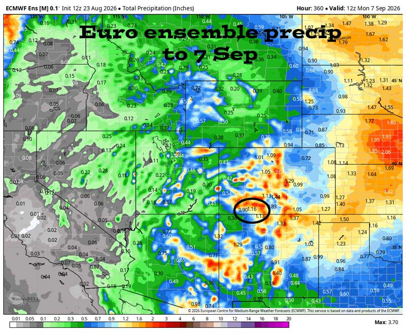 Euro ensemble precip to 7 Sep shows 1.16” in the Pagosa area. Precip amounts have bounced around over the last few days.