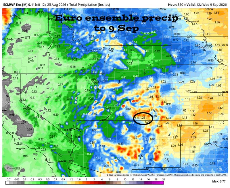 Euro ensemble precip to 9 Sep shows 1.23” in the Pagosa area. Precip amounts have decreased a little over the last few days.
