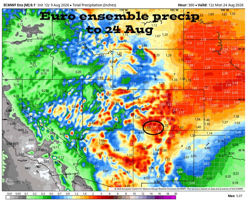 Euro ensemble precip to 24 Aug shows 2.11” in the Pagosa area. Forecast precip amounts have been pretty steady over the last two days. Much of Colorado should get a soaking over the next two weeks.