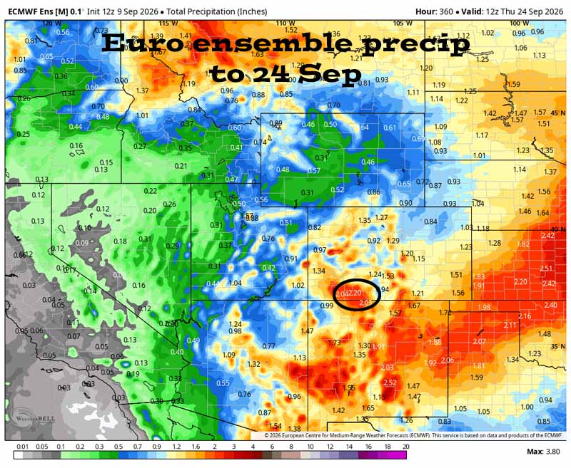 More active next week… 3 Euro ensemble precip to 24 Sep shows 2.20” in the Pagosa area. Most of this is expected during the second half of the period. Precip amounts over the last few days have trended up.