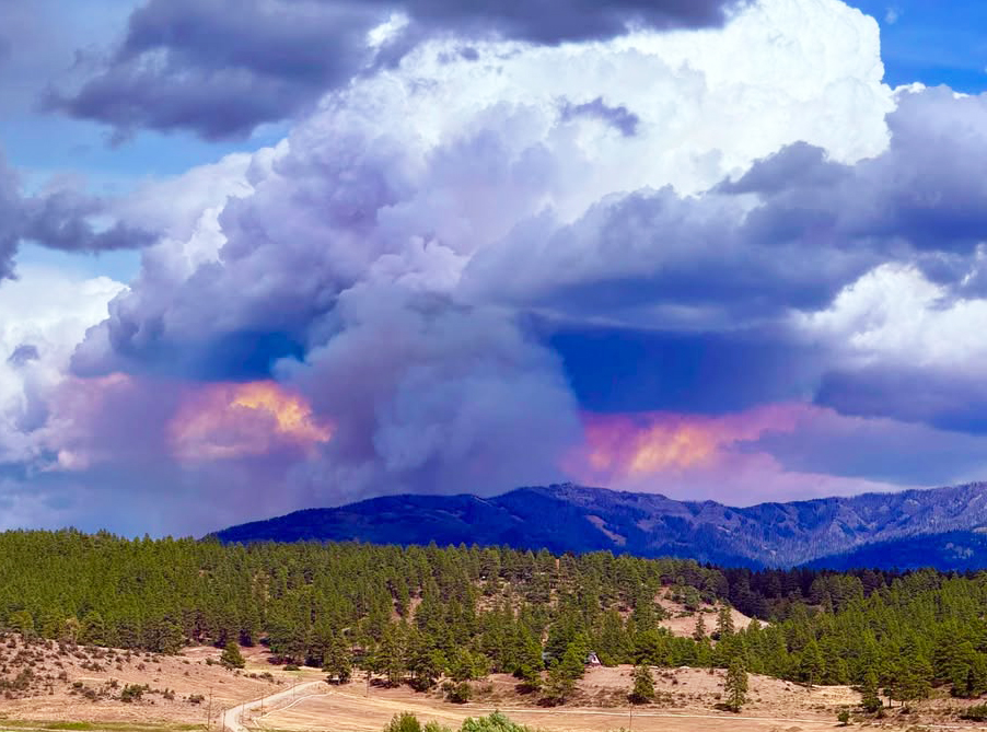 October ’26 Newsletter! 5 Garland SW fire