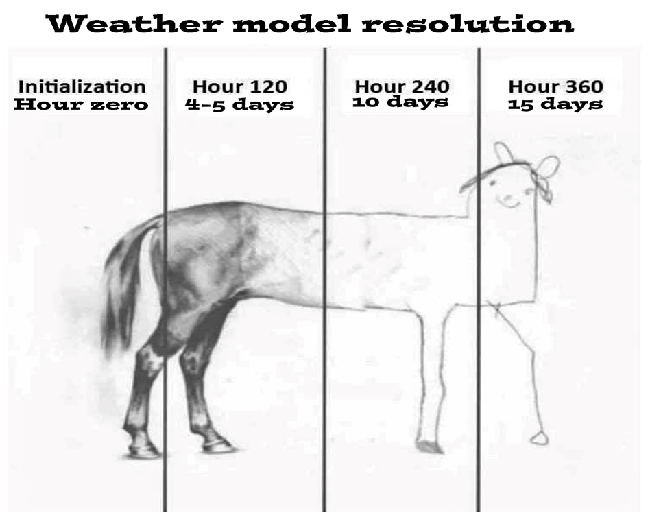 Slide 12
